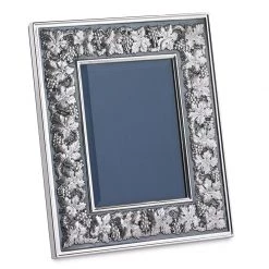 Buccellati Grapes Sterling Silver Frames
