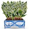 Scully & Scully Trompe L'Oeil Lily Of The Valley Decorative Screen