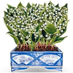 Scully & Scully Trompe L'Oeil Lily Of The Valley Decorative Screen
