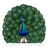 Scully & Scully Trompe L’Oeil Peacock Firescreen