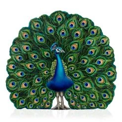 Scully & Scully Trompe L’Oeil Peacock Firescreen