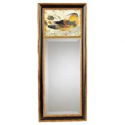 Scully & Scully Chinese Pheasant Mirror With Black Background