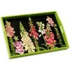 Scully & Scully Foxglove Lacquered Tray