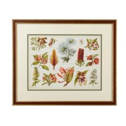 Scully & Scully Tropical Botany Giclee