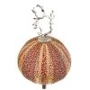 Scully & Scully Sea Urchin Lamps