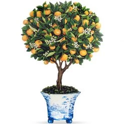 Scully & Scully Trompe L'Oeil Calamondin Orange Topiary Firescreen