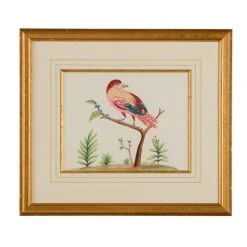 Scully & Scully Bird Watercolor Paintings