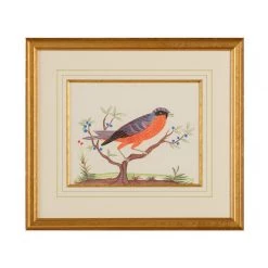 Scully & Scully Bird Watercolor Paintings -Home Decor Shop unnamed file 591