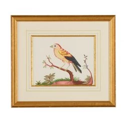 Scully & Scully Bird Watercolor Paintings -Home Decor Shop unnamed file 593