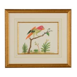 Scully & Scully Bird Watercolor Paintings -Home Decor Shop unnamed file 594