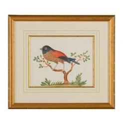 Scully & Scully Bird Watercolor Paintings -Home Decor Shop unnamed file 596