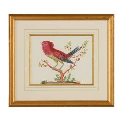 Scully & Scully Bird Watercolor Paintings -Home Decor Shop unnamed file 597