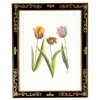 Scully & Scully Tulip Mania Lithographs