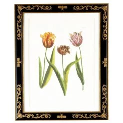 Scully & Scully Tulip Mania Lithographs