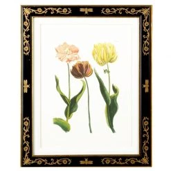 Scully & Scully Tulip Mania Lithographs -Home Decor Shop unnamed file 615