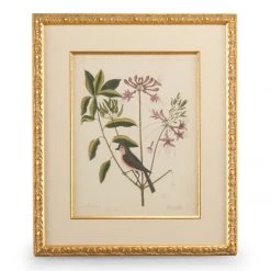 Scully & Scully Catesby Bird & Botanical Giclees