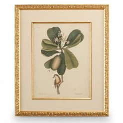 Scully & Scully Catesby Bird & Botanical Giclees -Home Decor Shop unnamed file 636