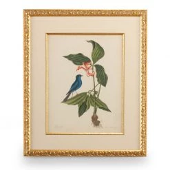 Scully & Scully Catesby Bird & Botanical Giclees -Home Decor Shop unnamed file 637