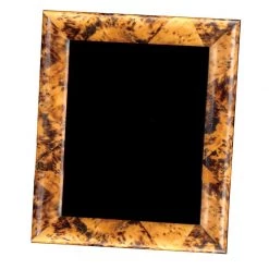 Scully & Scully Tiger Pen Shell Frames -Home Decor Shop unnamed file 971